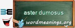 WordMeaning blackboard for aster dumosus